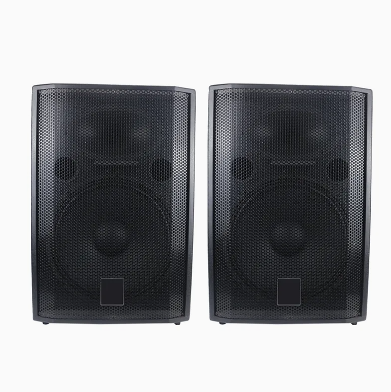 EVP-X15 15-Inch Professional Passive PA Speaker – 2-Way Wooden Full-Range Loudspeaker for Stage, DJ, Live Sound & Event Audio