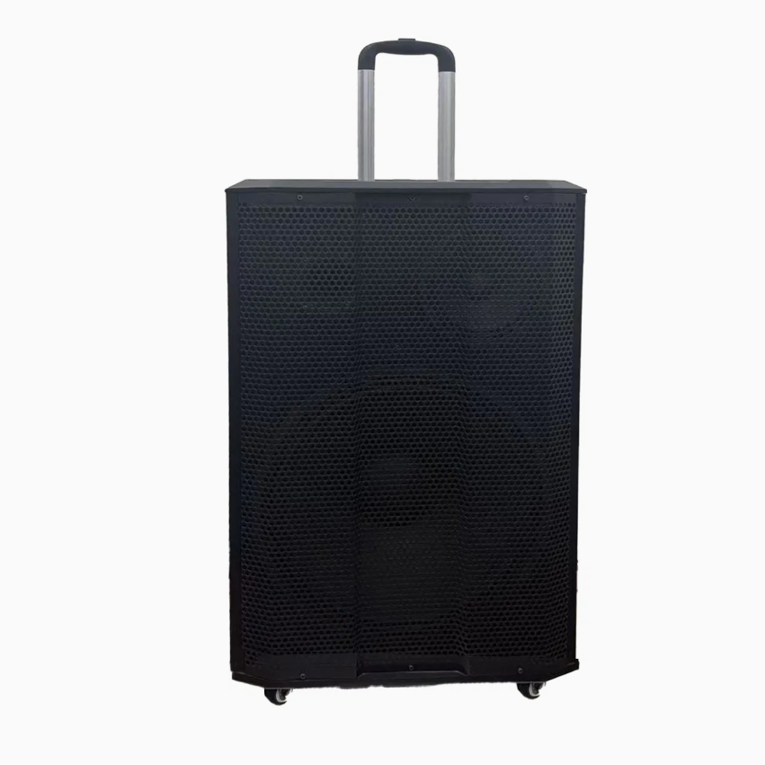 15-Inch Professional Portable Trolley PA Speaker with Rechargeable Battery, Bluetooth, USB & Wireless Microphone for Outdoor Events