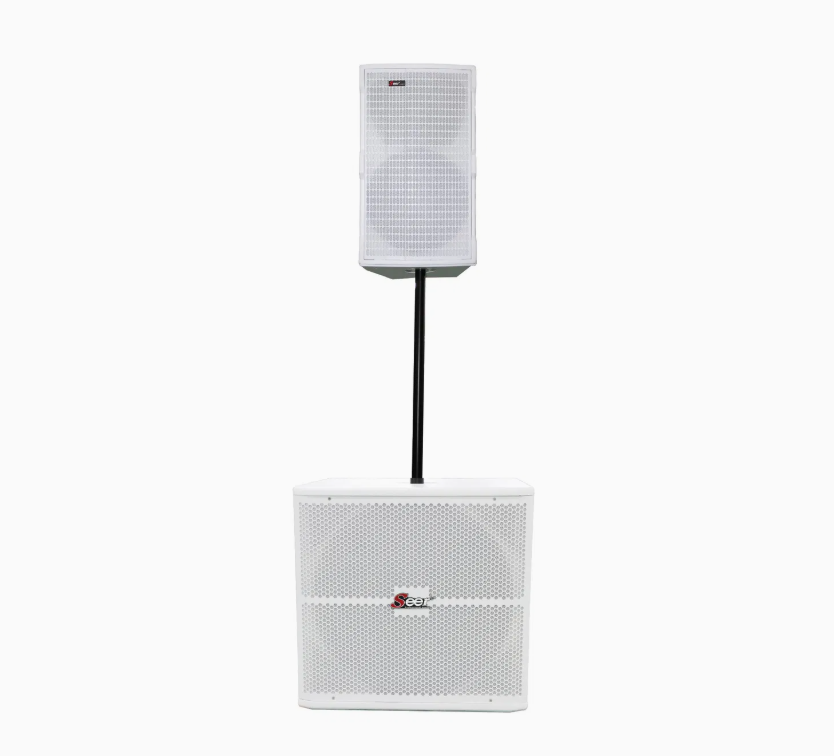 Active Line Array Speaker System – Professional Portable PA Audio System with Powered Subwoofer for Live Events & Installations